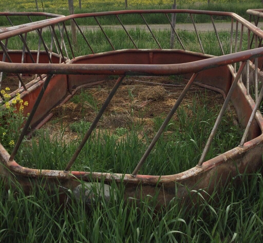 Kevin Hill AuctionIMG_5061 - Montana Auctions by Kevin Hill